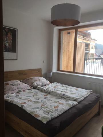 Apartman Cihadla Bedrichov  Ngoại thất bức ảnh